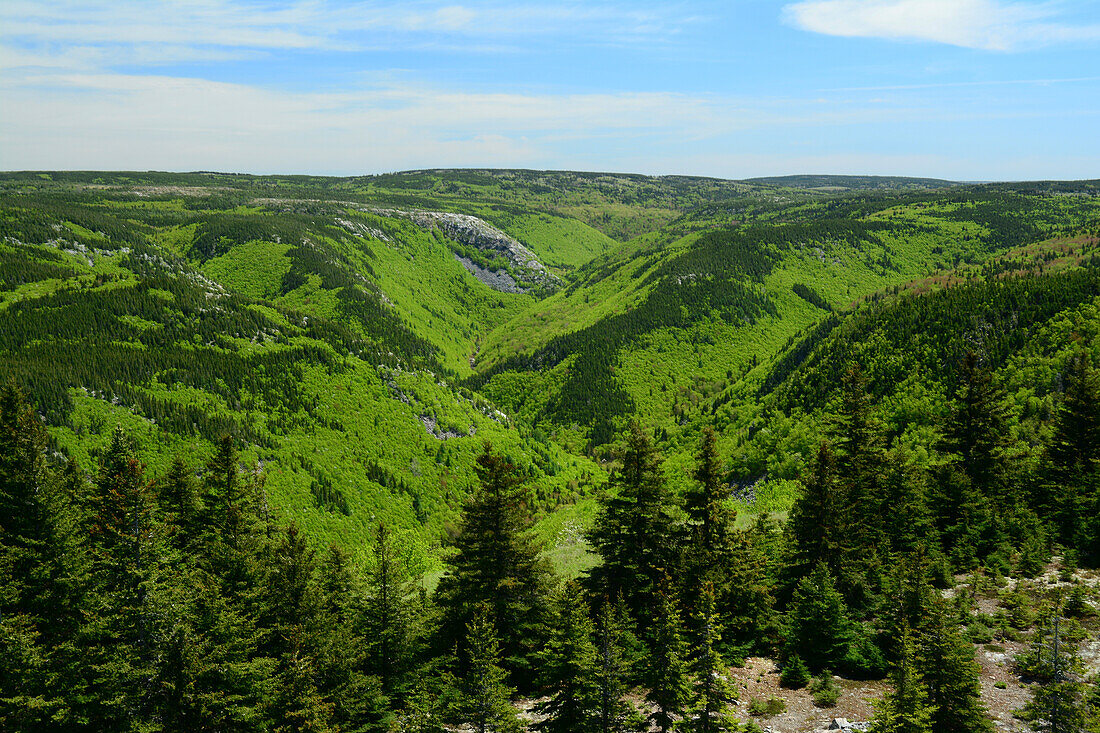 Highland plateaus of Cape Breton Highlands National Park.; Cape Breton Highlands National Park, Nova Scotia, Canada.