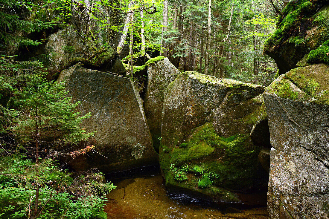 Huge boulders along the Lost River Gorge in New Hampshire.; North Woodstock, New Hampshire, USA.