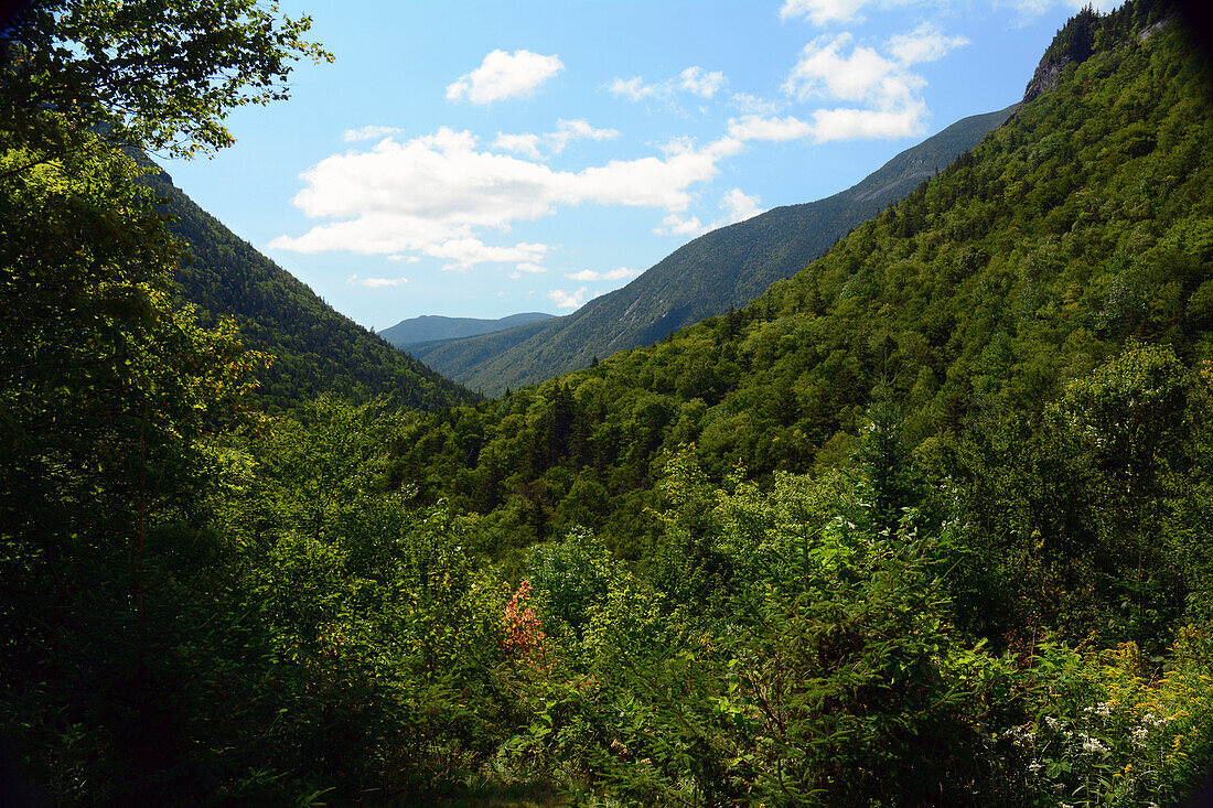 View of a glacially carved valley formed during the last Ice Age in Crawford Notch State Park.; New Hampshire, USA.