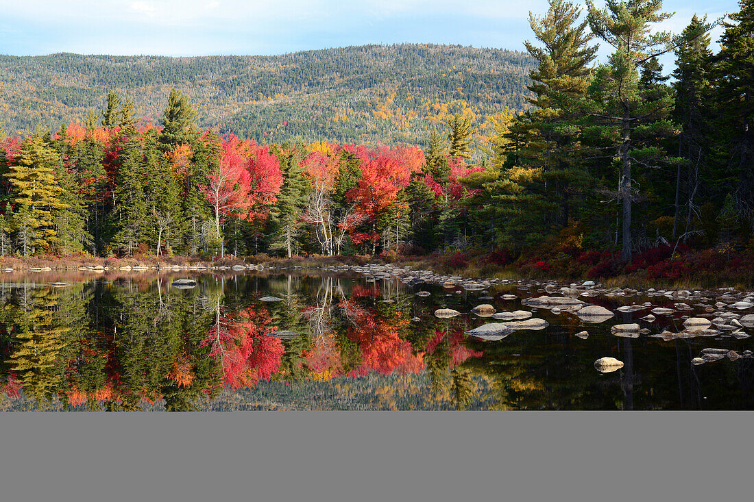 Fall foliage and rocky shoreline reflected in the still water of a pond.; Bartlett, White Mountain National Forest, New Hampshire
