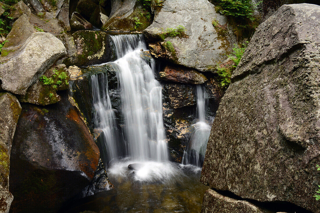 Paradise Falls plunges into the Lost River Gorge in the White Mountain region.; North Woodstock,  New Hampshire, USA.