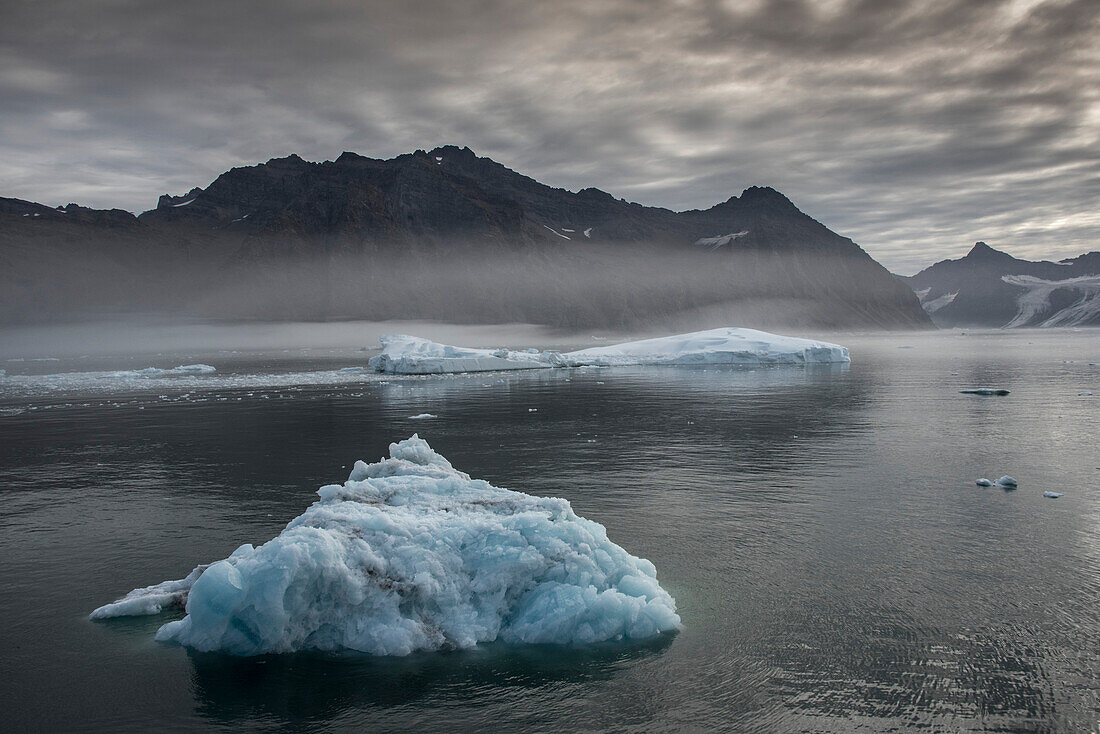 Im Gletscherwasser schwimmende Eisberge bei nebliger Atmosphäre im Nansen Fjord und die Silhouette des Bergkamms im Hintergrund unter grauem, bewölktem Himmel; Ostgrönland, Grönland