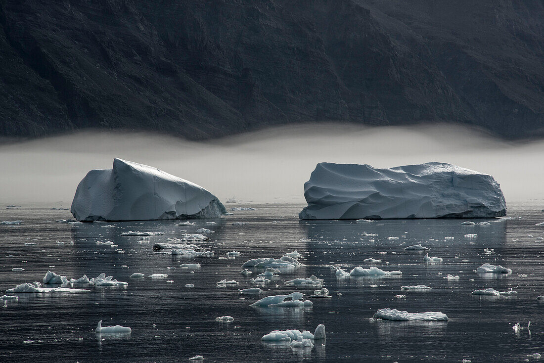 Close-up of icebergs and growlers floating in the calm waters of Nansen Fjord against a layer of fog and silhouetted mountains in the background; East Greenland, Greenland