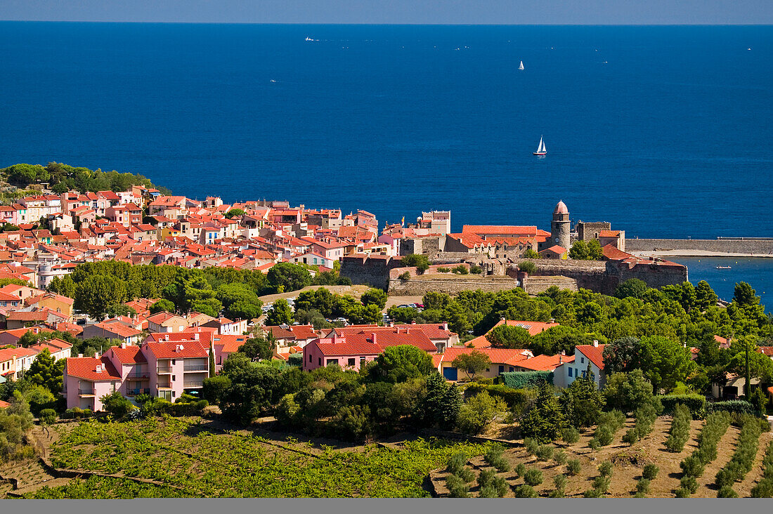 Ziegeldächer und Segelboote im Mittelmeer bei Collioure, Frankreich; Collioure, Pyrenees Orientales, Frankreich
