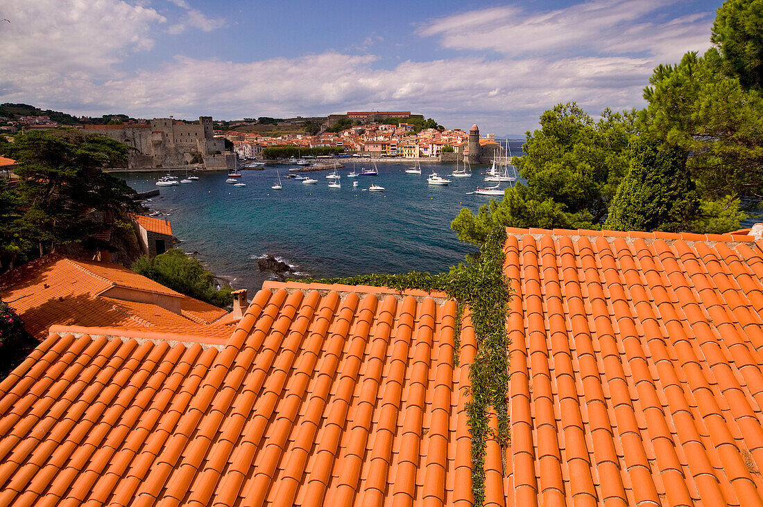 Ziegeldach und Hafen von Collioure; Collioure, Pyrenees Orientales, Frankreich