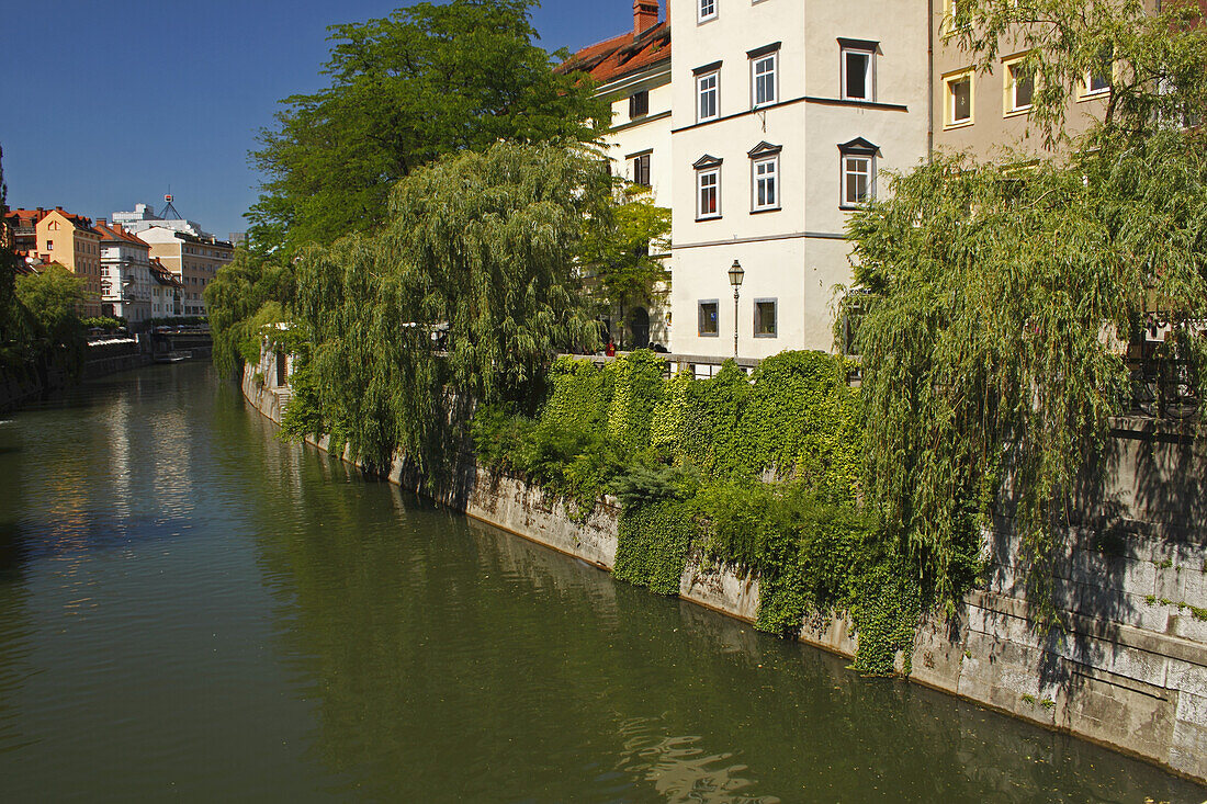 Ljubljanica River; Ljubljana Slovenia