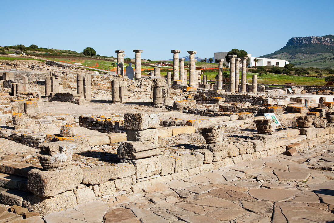 Ruins At The Excavations Of The Old Roman Settlement; Bolonia Andalucia Spain