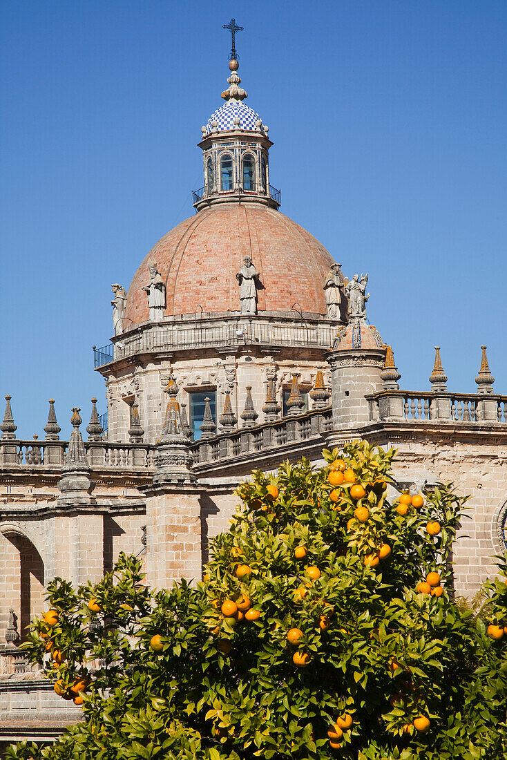 Kuppel einer Kathedrale vor blauem Himmel; Jerez De La Frontera Andalusien Spanien