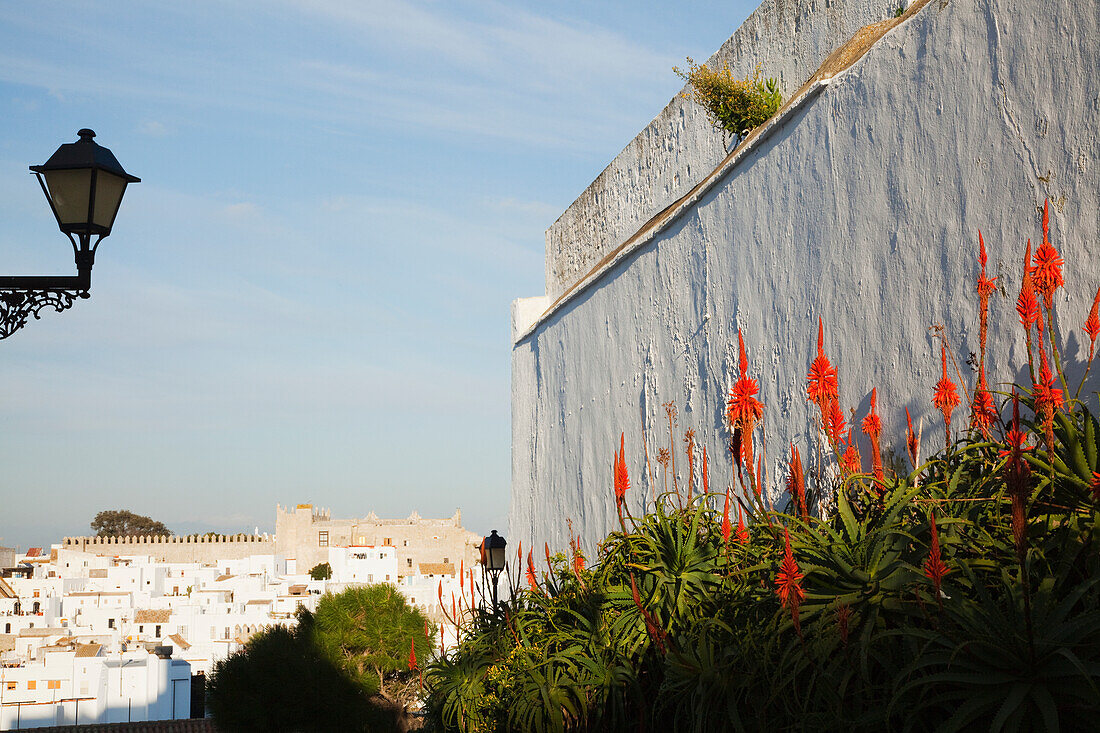 Blühende rote Blumen in Pflanzen entlang einer Mauer mit dem Stadtbild im Hintergrund; Vejer De La Frontera Andalusien Spanien