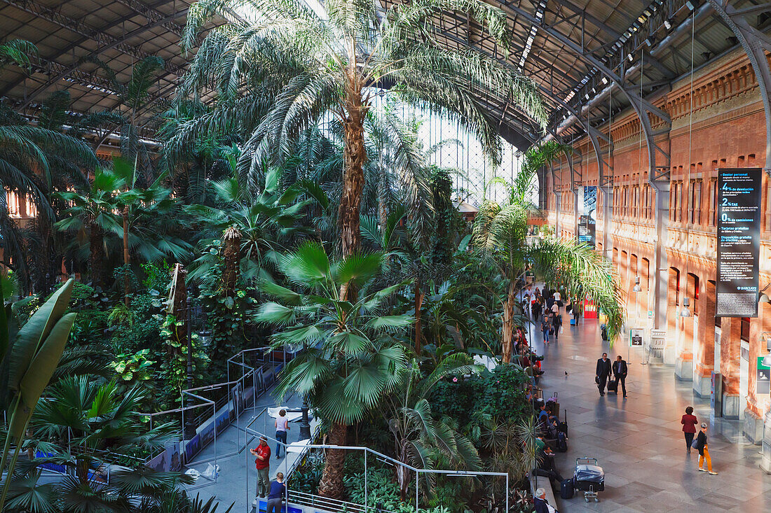 Das Innere des Atocha Bahnhofs mit seinem tropischen Garten; Madrid Spanien
