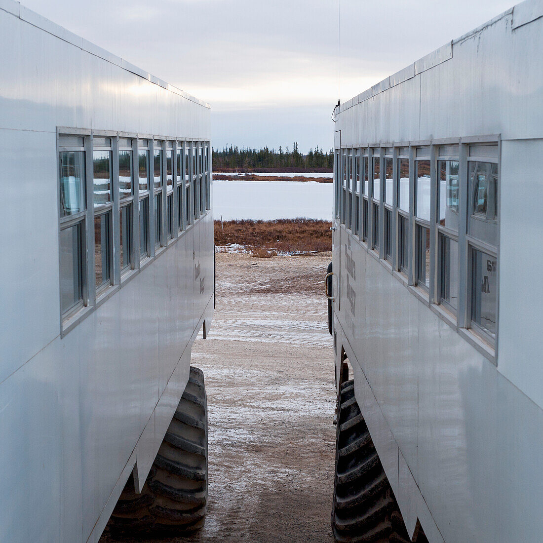 Tundra-Fahrzeuge; Churchill Manitoba Kanada