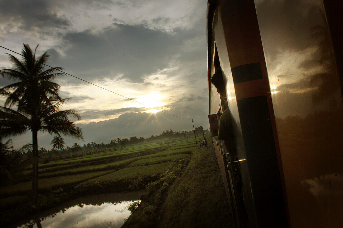 Blick auf eine Seite eines Zuges mit der untergehenden Sonne über den Reisfeldern; Java Indonesien