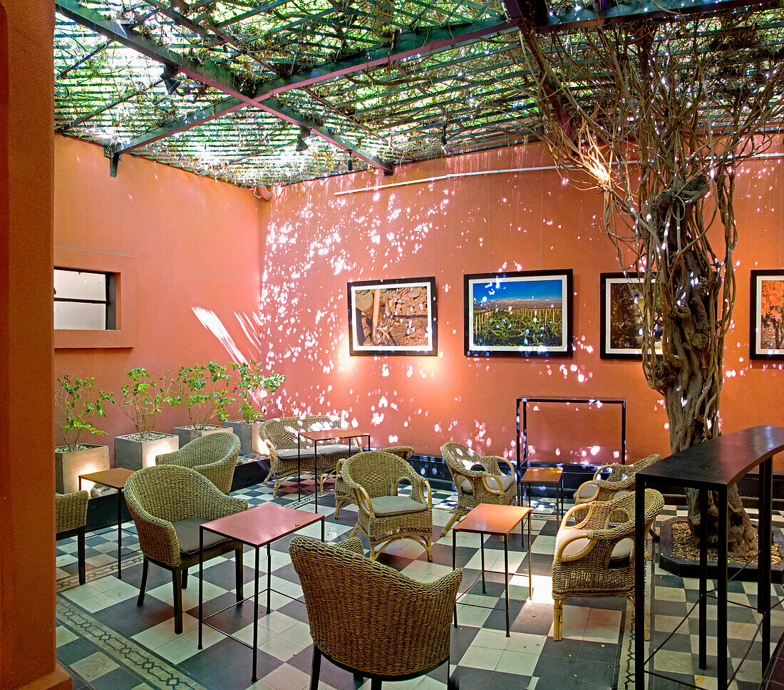 Cafe Interior With Sunlight Through The Vines Playing On The Walls; Mendoza Argentina