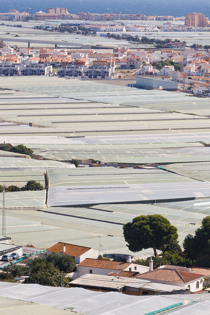 Crops Growing Under Plastic; Carchuna Granada Province Spain