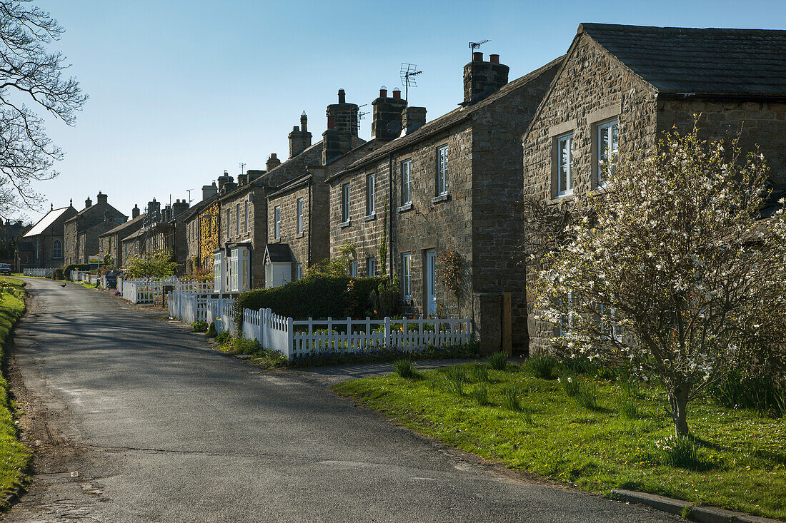 Häuser entlang einer Straße; East Witton Yorkshire England