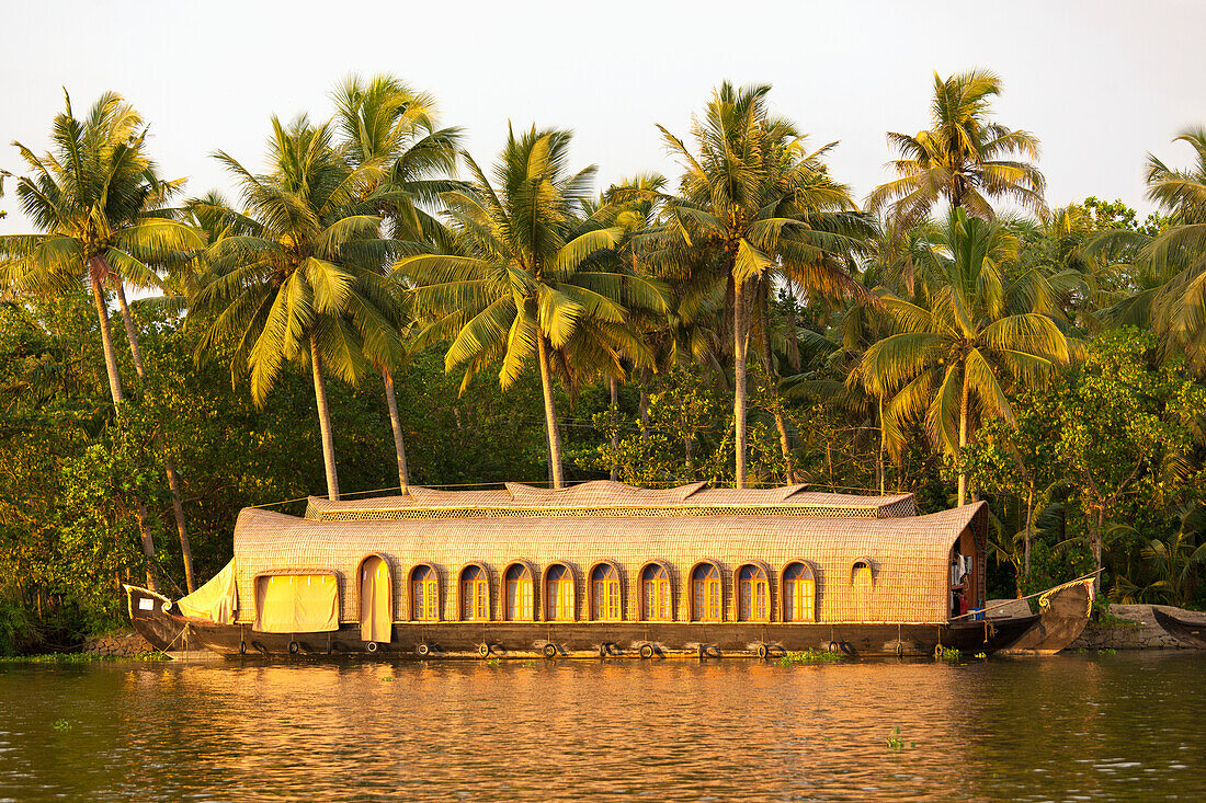 A Boat Sitting At The Shoreline With Palm Trees; Kerela India