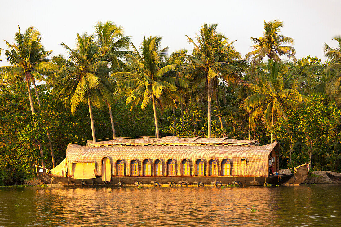 Ein Boot sitzt am Ufer mit Palmen; Kerela Indien