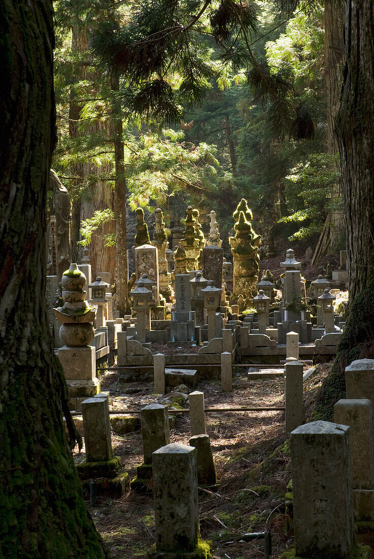 Traditioneller japanischer Friedhof in den Wäldern; Koyasan Wakayama Japan