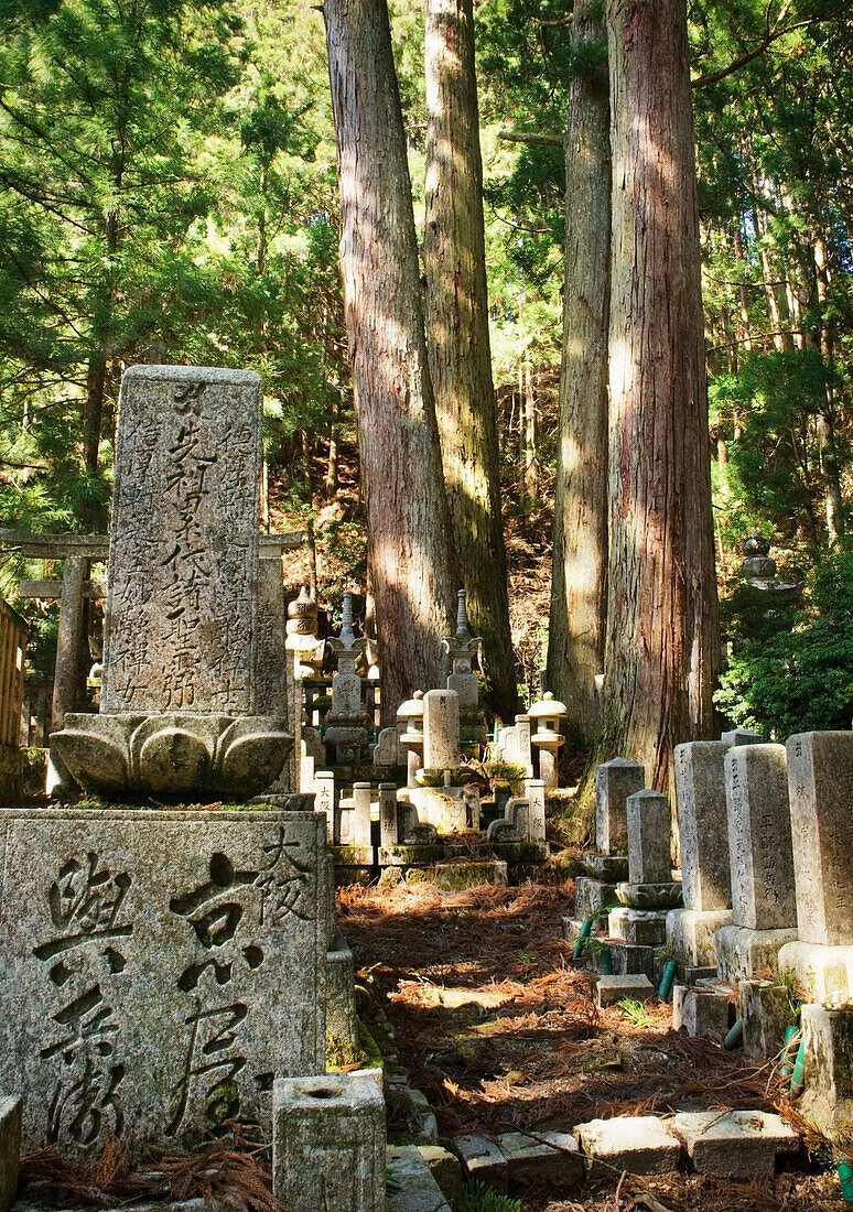 Traditioneller Japanischer Friedhof Im Wald; Koyasan Wakayama Japan