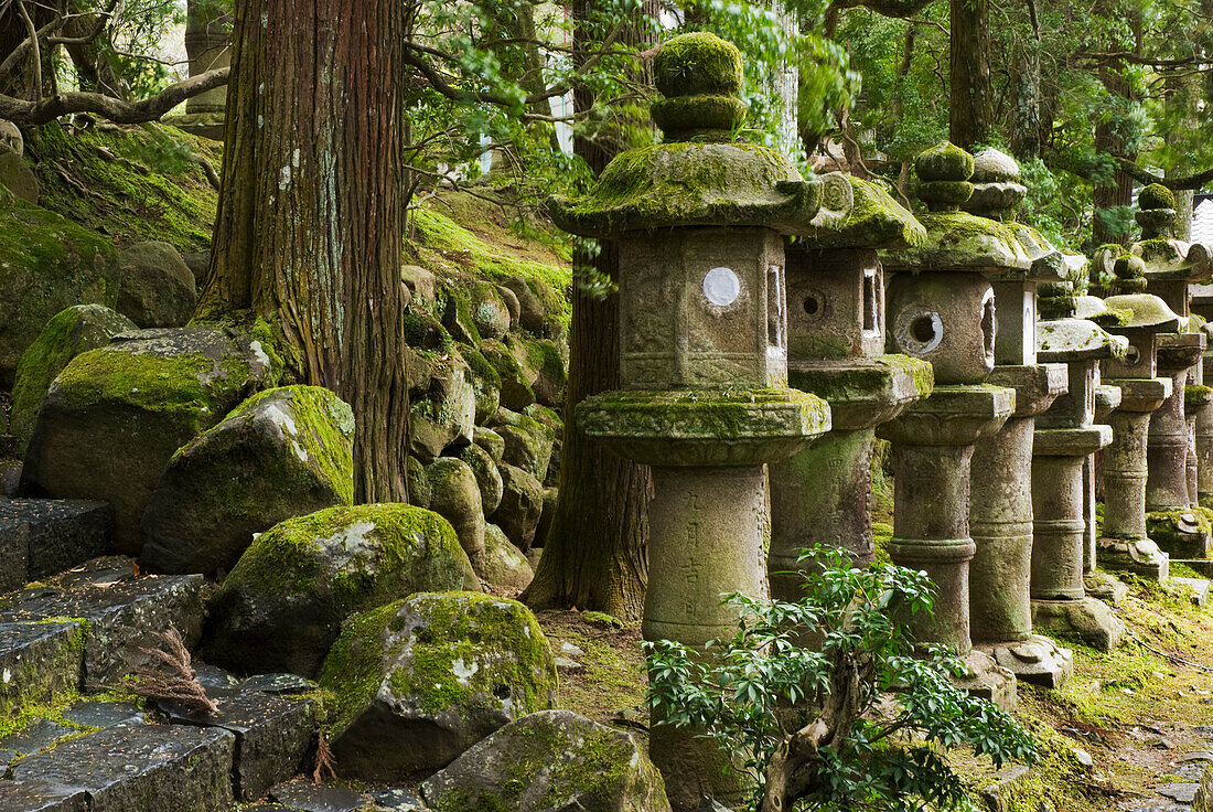 Moosbedeckte japanische Steinlaternen; Nara, Japan