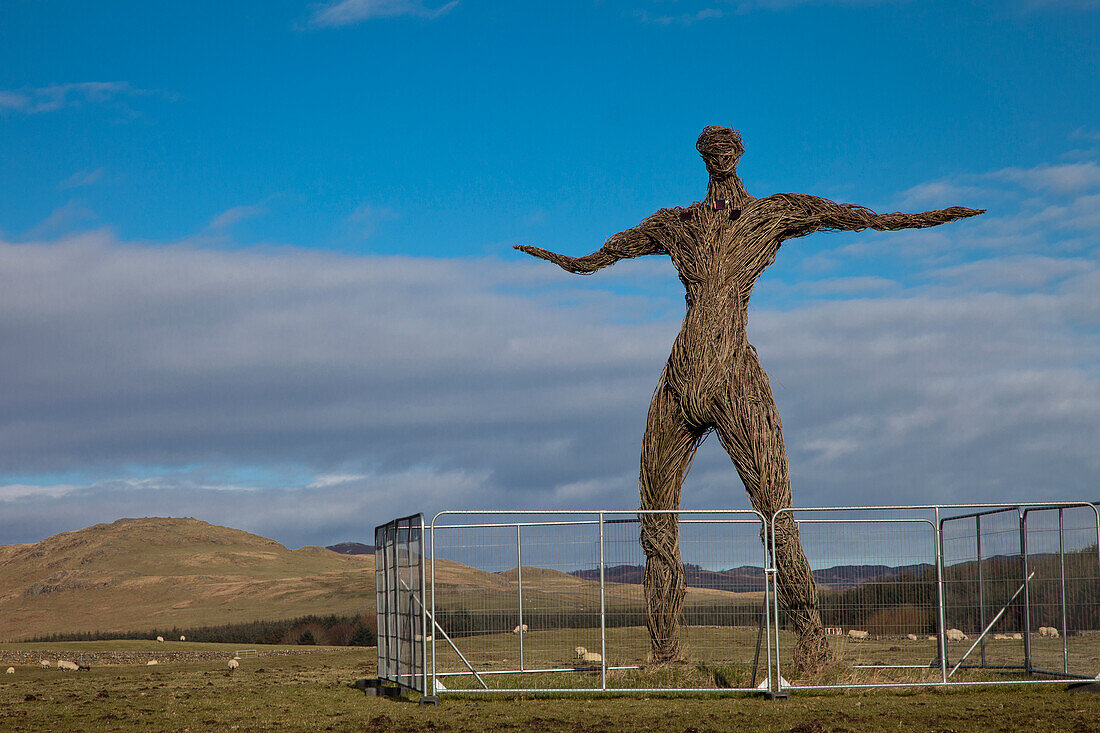 Skulptur eines menschlichen Körpers umgeben von einem Zaun und weidenden Schafen auf einem Feld; Dumfries und Galloway Schottland