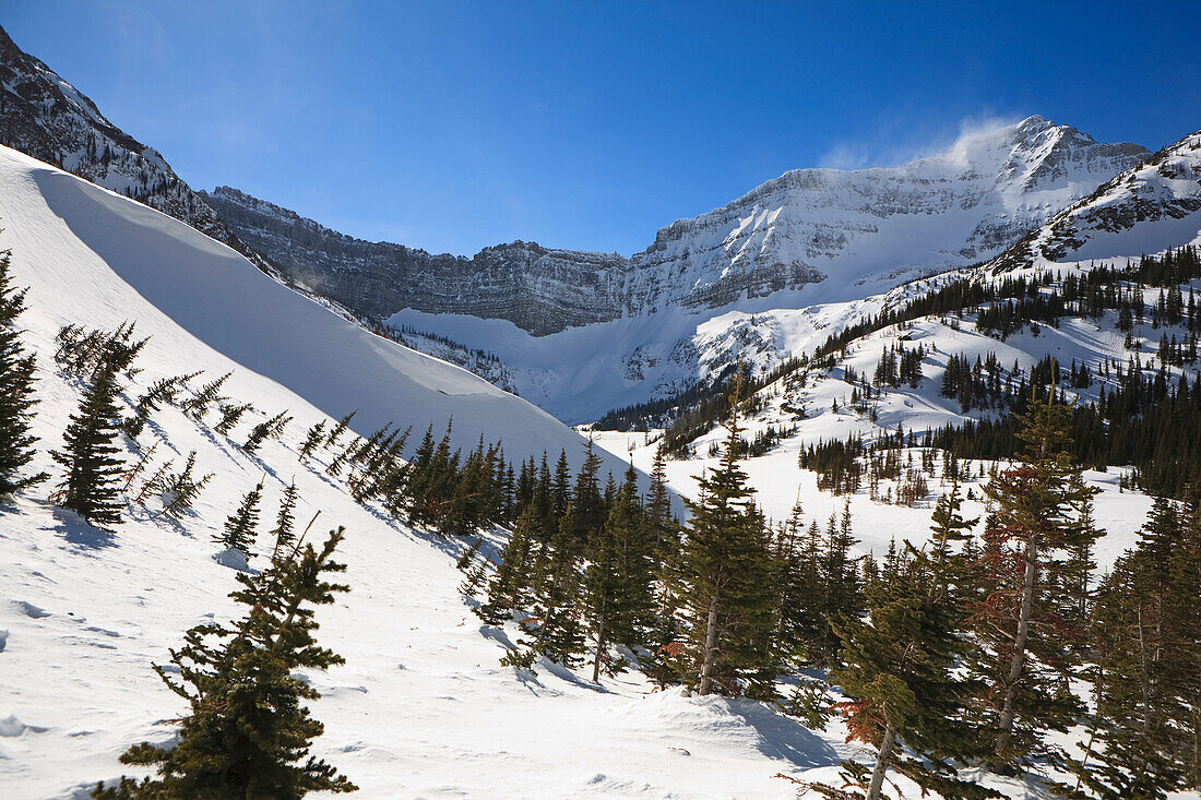 Bergkuppe mit Schneeverwehungen auf Bergkämmen und großer Schneeverwehung mit blauem Himmel; Waterton Alberta Kanada