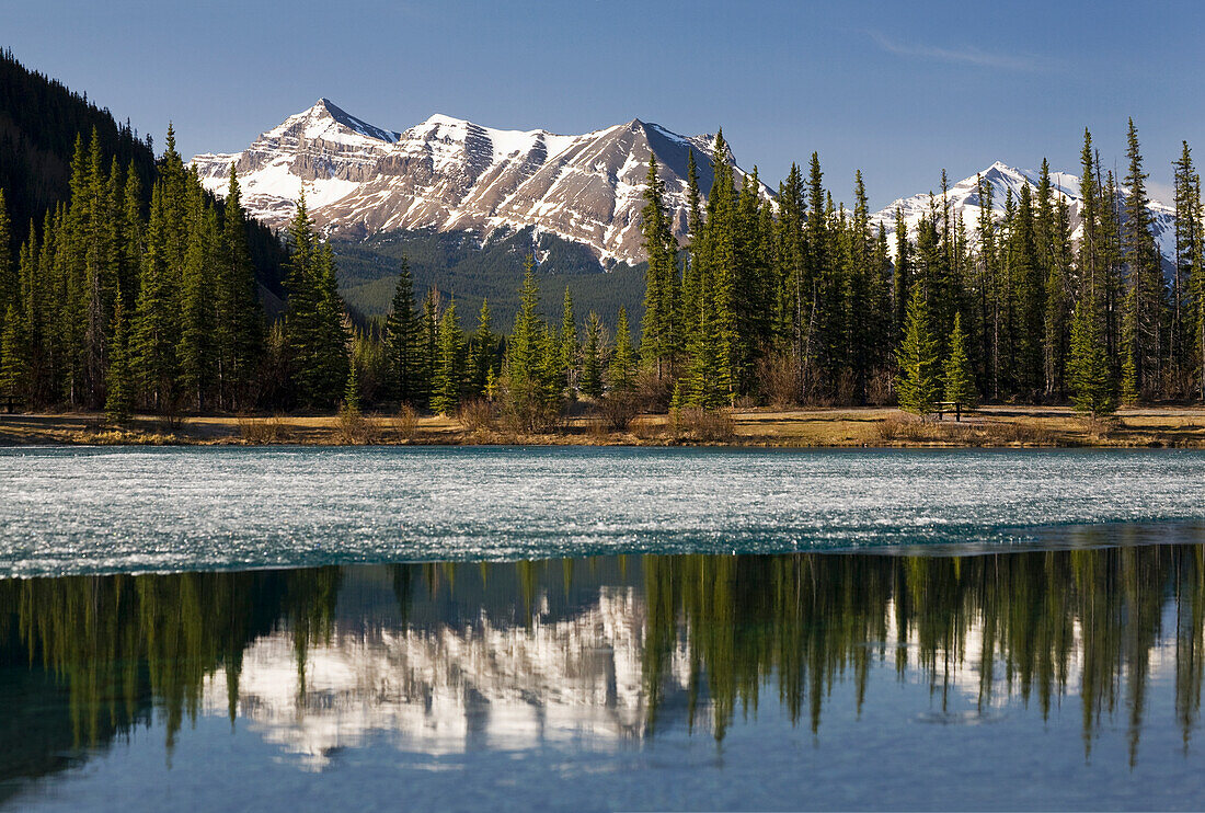 Schneebedeckte Gebirgskette, die sich in einem Bergsee mit blauem Himmel spiegelt; Alberta, Kanada