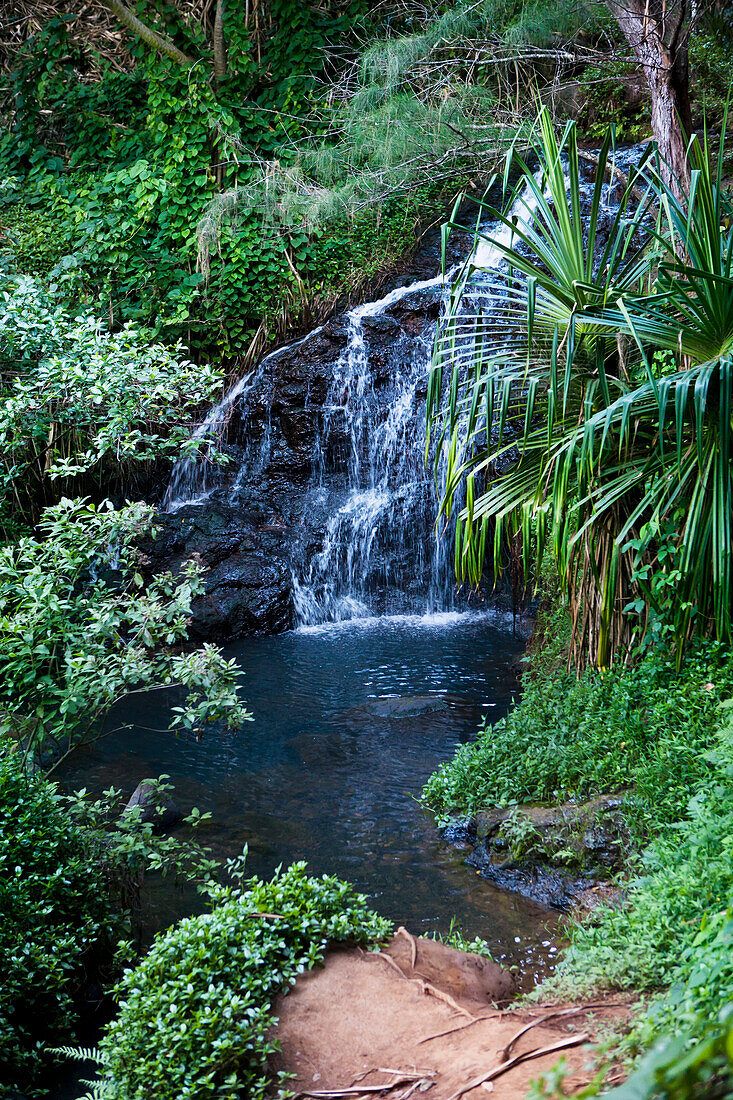 Waterfall At Queen's Bath; Princeville, Kauai, Hawaii