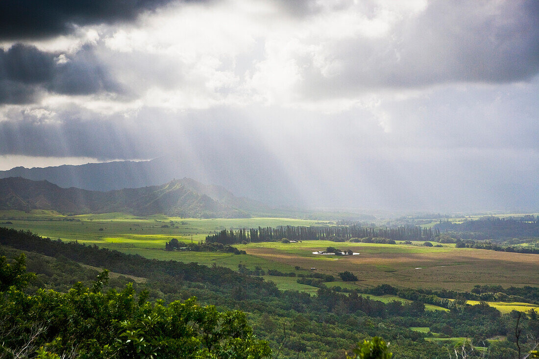 Blick über die Kipu Ranch; Kauai, Hawaii, USA