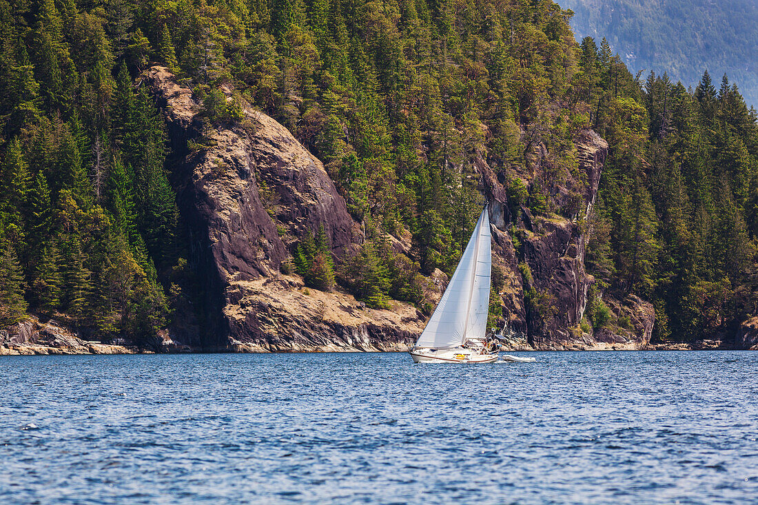 A Man Sails His Sailboat In Desolation Sound; British Columbia Canada