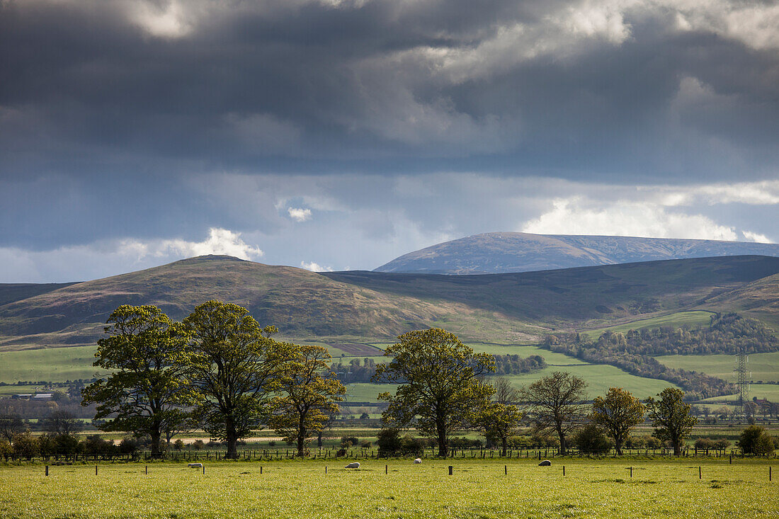 Gewitterwolken über Feldern und Hügeln; Northumberland England