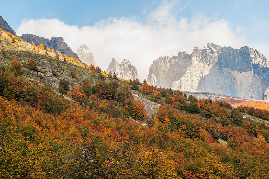 Los Torres vom Valle Ascensio aus gesehen; Patagonien Chile