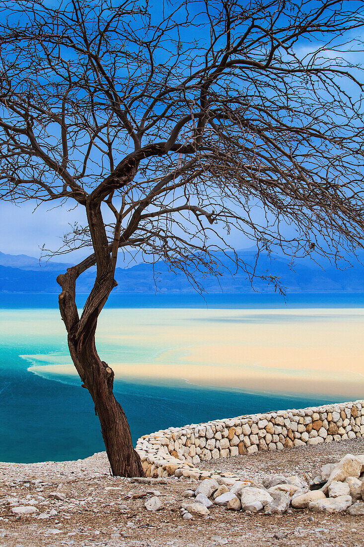 Dead Sea; Jordan Valley Israel