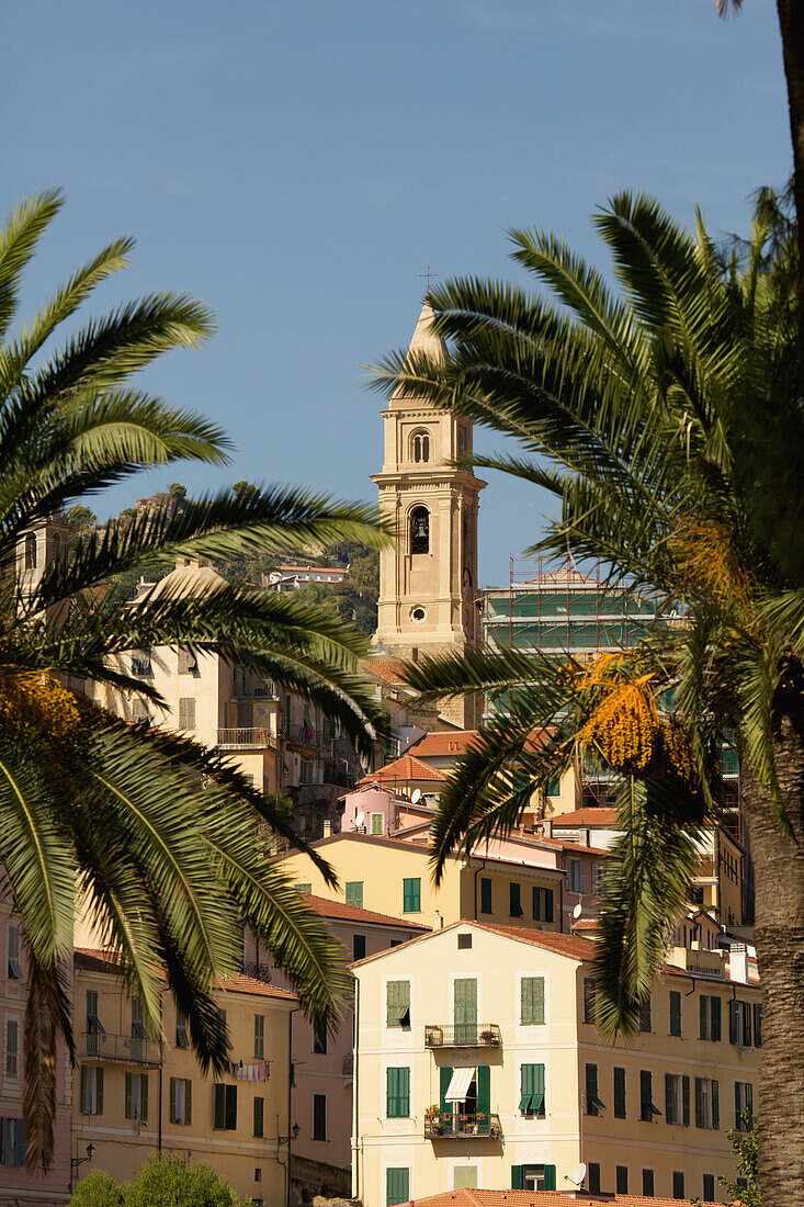 Gebäude und ein Kirchturm vor einem blauen Himmel mit Palmen im Vordergrund; Ventimiglia Italien