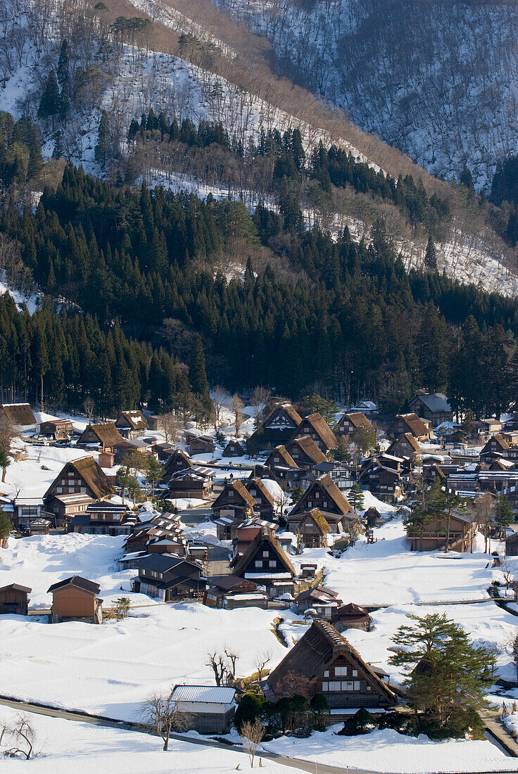 Hoher Blickwinkel auf ein traditionelles japanisches Dorf; Shirakawa, Gifu, Japan