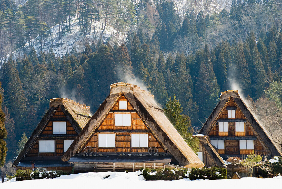 Drei traditionelle japanische Dorfhäuser mit Strohdächern dampfen in der morgendlichen Wintersonne; Shirakawa, Gifu, Japan