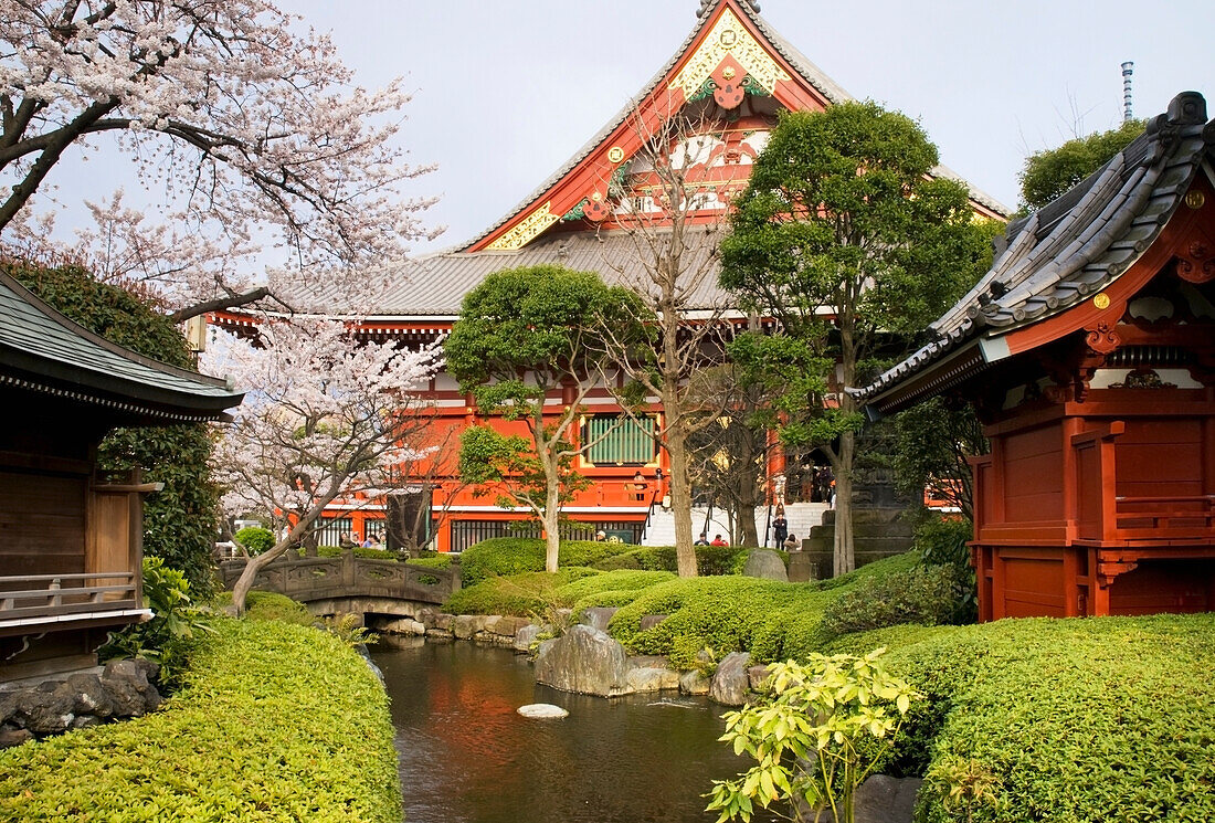 Japanese Temple Garden With Stream And Stone Bridge; Tokyo, Japan