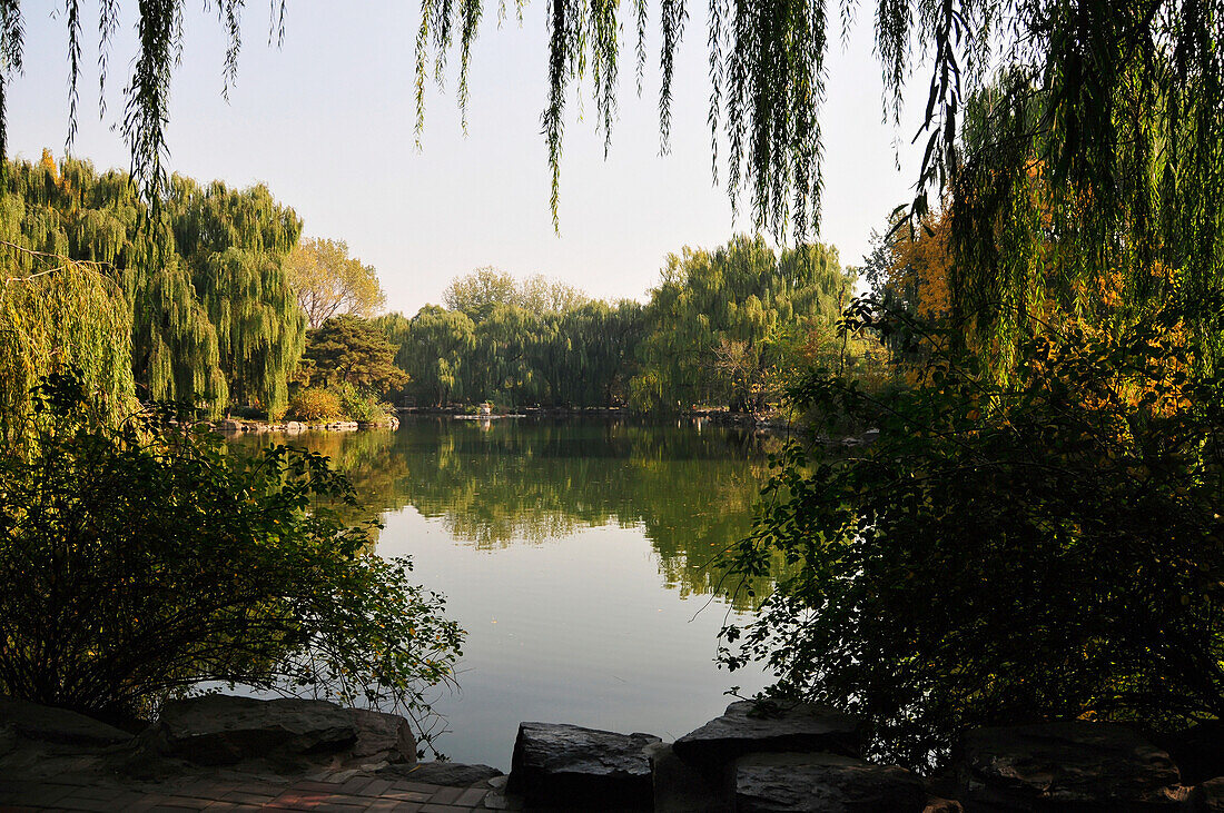 A Tranquil Pond With A Reflection Of Trees; Beijing China