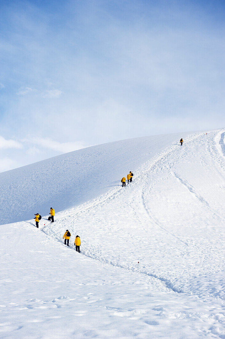 Touristen in gelben Jacken erklimmen einen gefrorenen Hügel; Antarktis