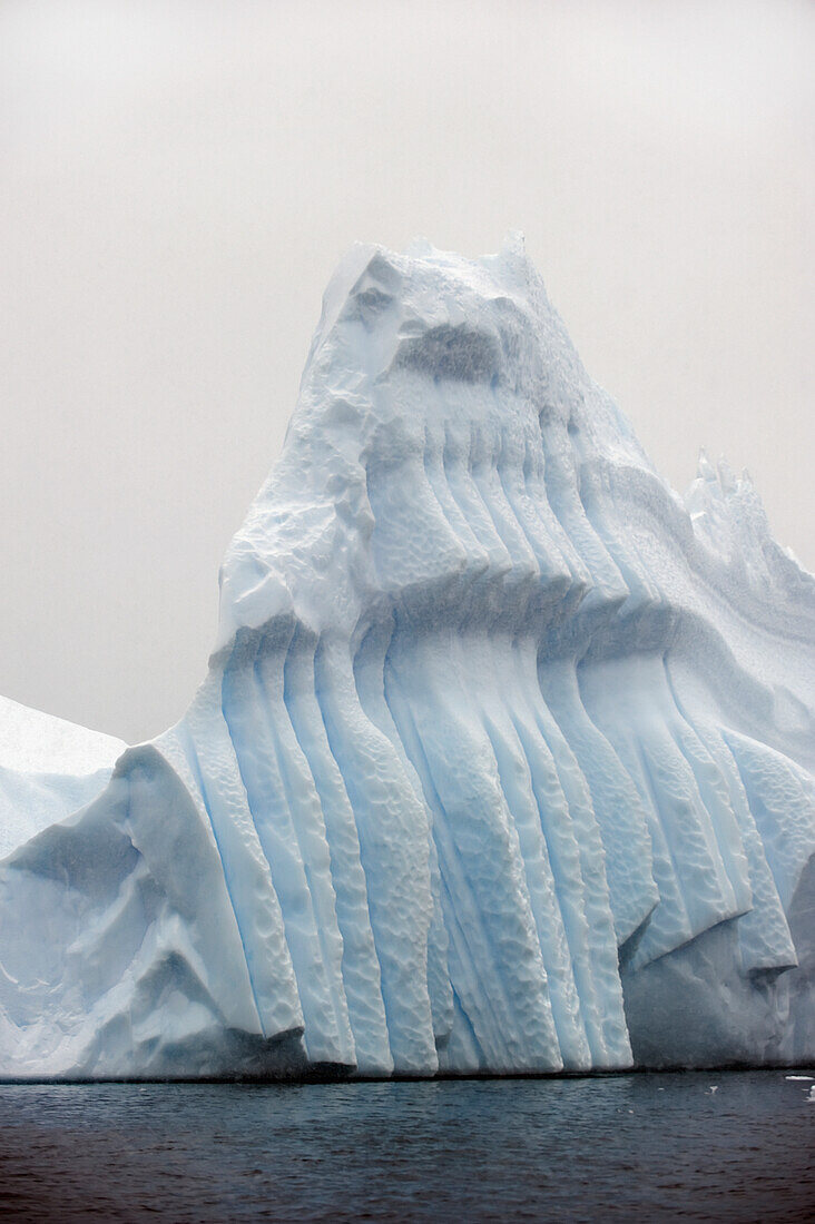 Iceberg; Antarctica