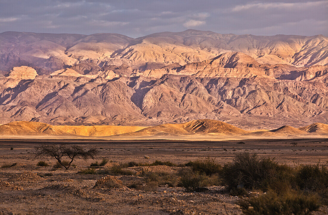 Mountains And Desert Landscape; Jordan Rift Valley Israel