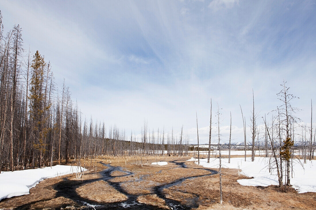 Kleiner Fluss Im Frühling Im Yellowstone National Park; Wyoming Vereinigte Staaten Von Amerika