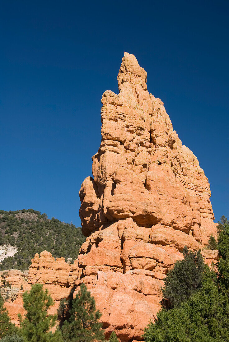 Utah, Dixie National Forest, Claron limestone formations in Red Canyon.