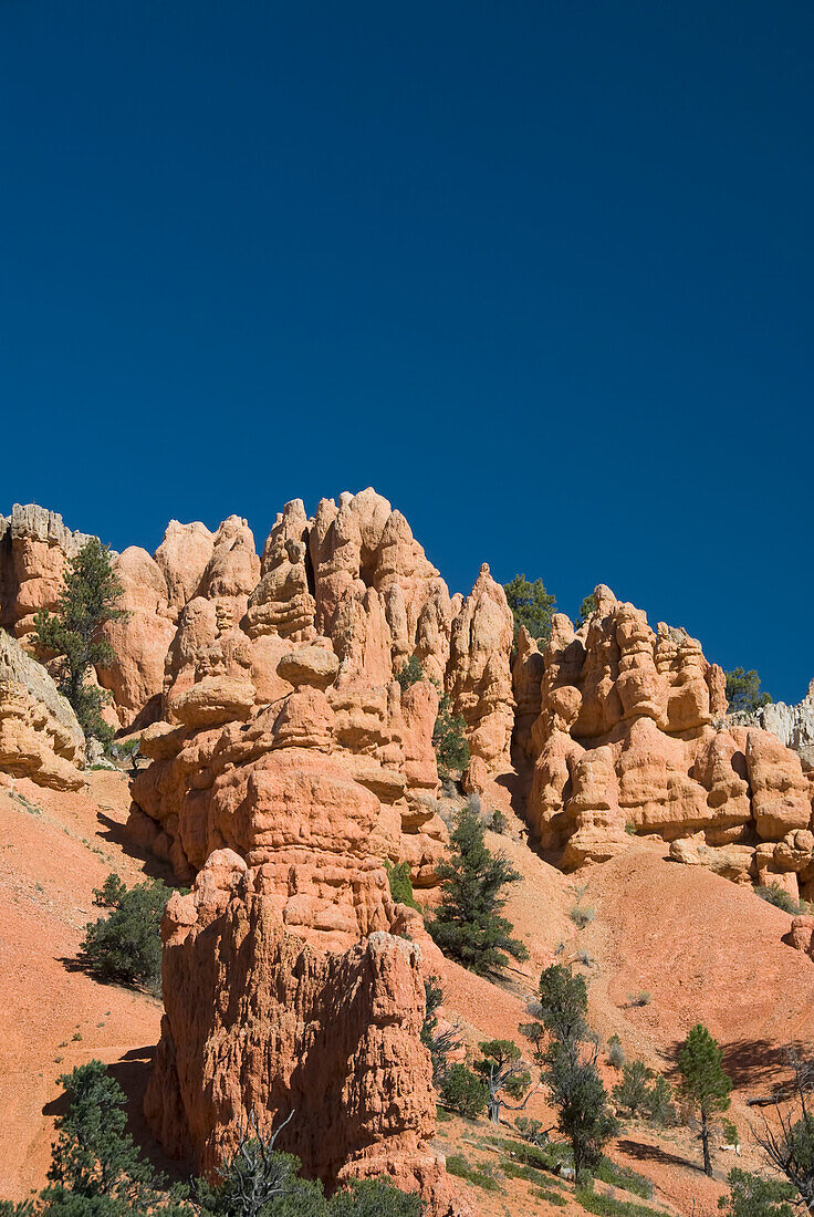 Utah, Dixie National Forest, Claron limestone formations in Red Canyon.