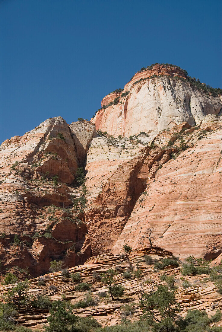 Utah, Zion National Park, Landschaft in der Nähe des Zion Mount Camel Highway.