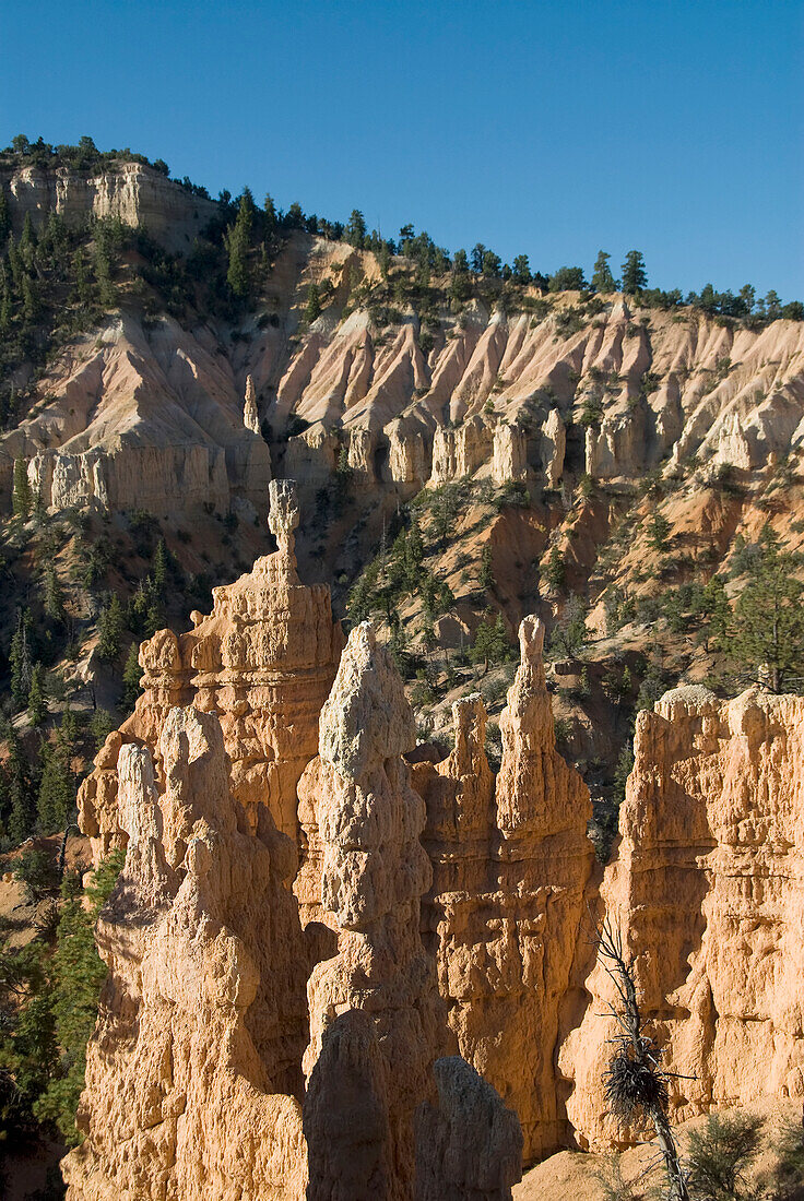 Utah, Bryce Canyon National Park, Rock formations make up Fairyland Canyon.