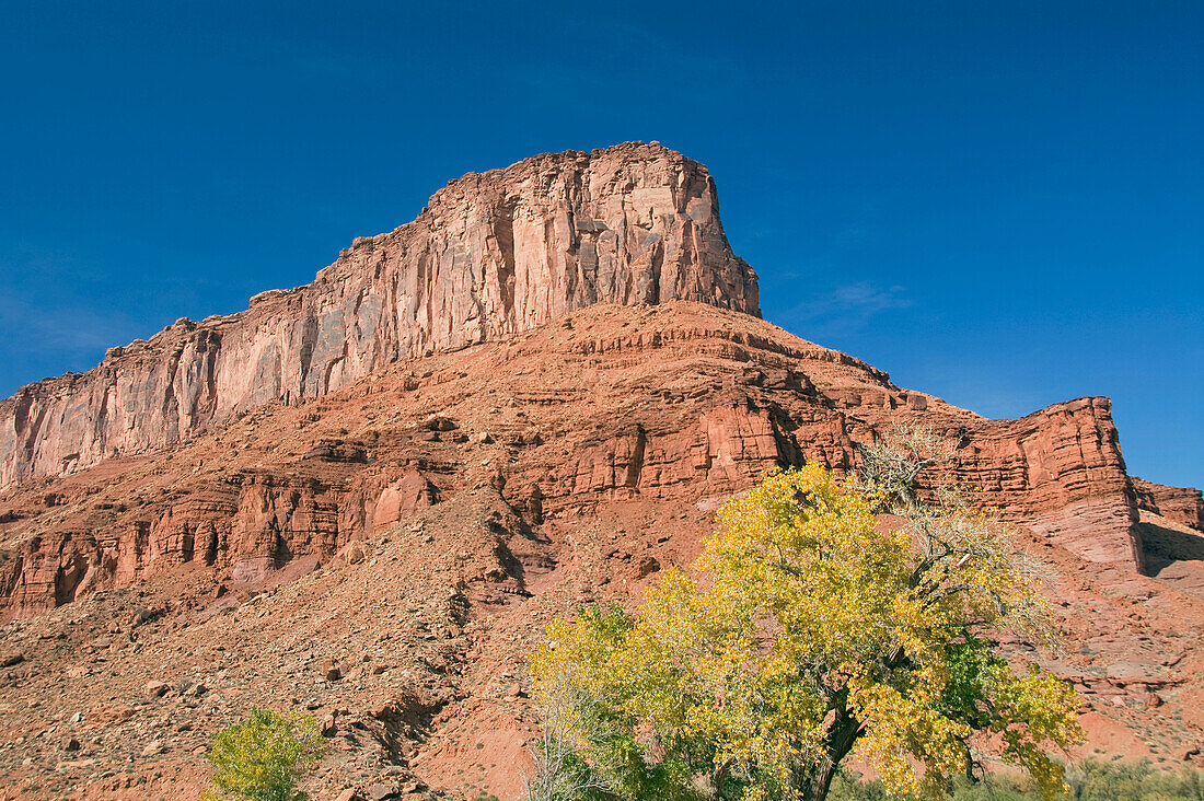 USA, Utah, Moab, riesiger Felsvorsprung mit sich im Herbst verfärbenden Bäumen
