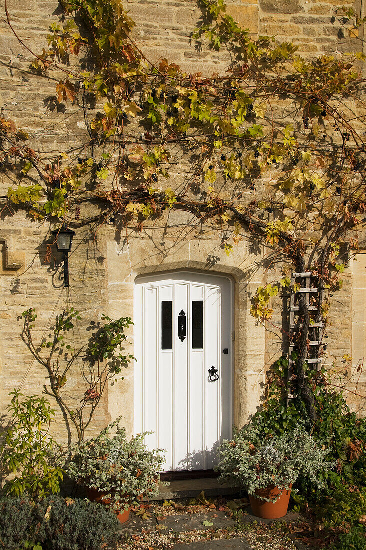United Kingdom, England, Cotswolds, Lower Slaughter, doorway of row house.