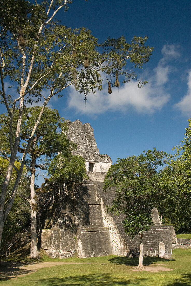 Guatemala, Peten, Tikal National Park, The temple of the Masks at the great plaza.