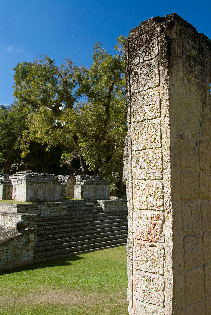 Honduras, Copan Ruinas, Copan Archeological Park, Stela 2 (foreground), Structure #9 and Ball Court (background)